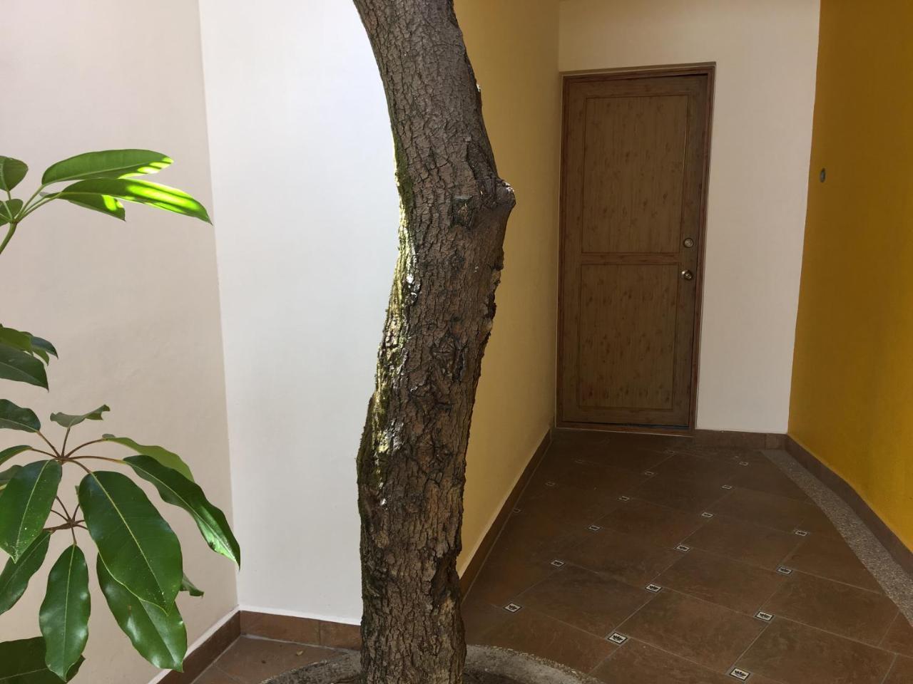 Casa Cielo Ξενοδοχείο Valle de Bravo Εξωτερικό φωτογραφία